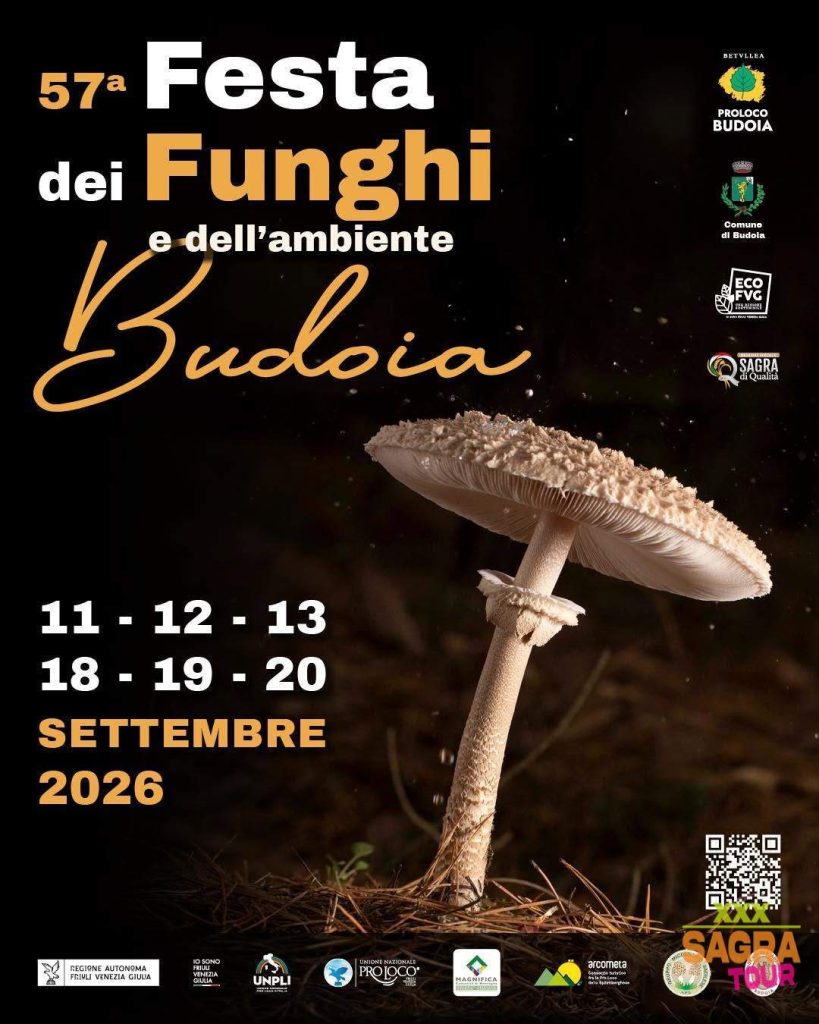 Festa dei Funghi e dell’Ambiente