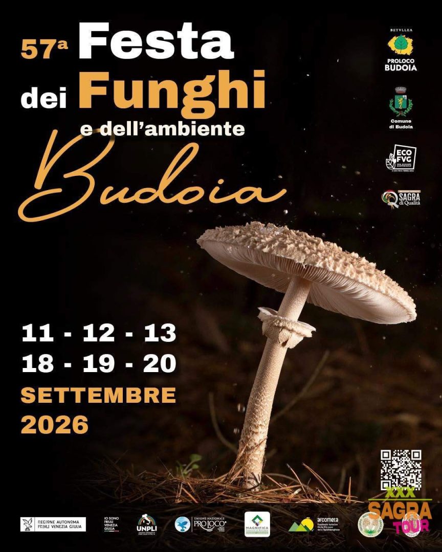 locandina festa dei funghi e dell’ambiente budoia
