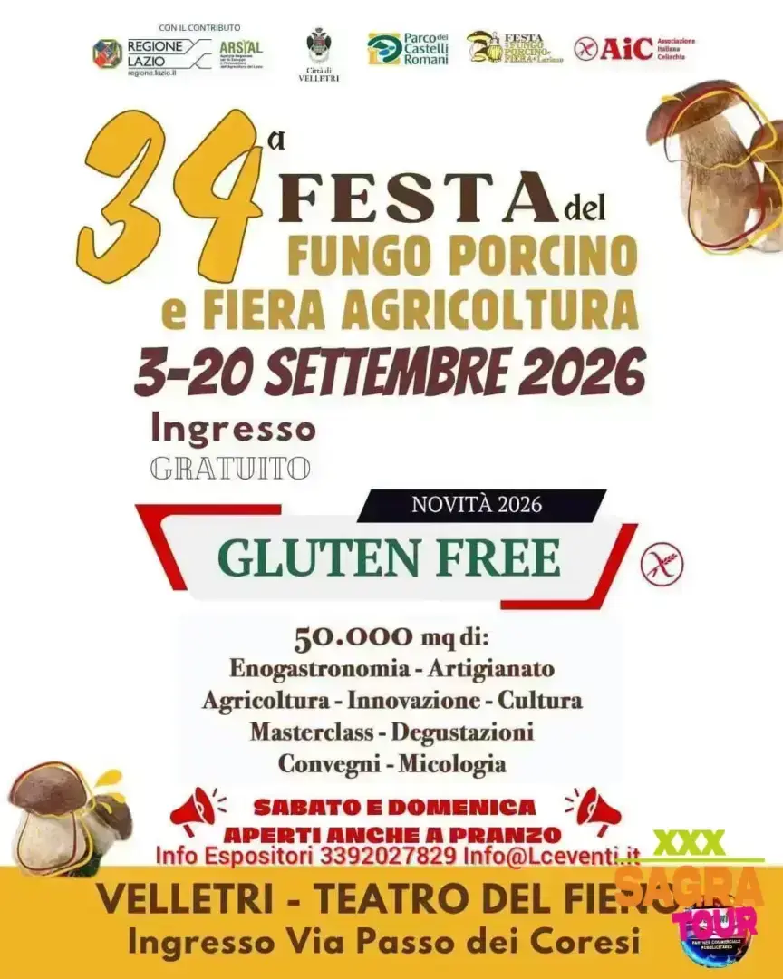locandina festa del fungo porcino velletri