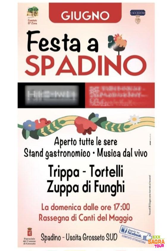 Festa di Spadino
