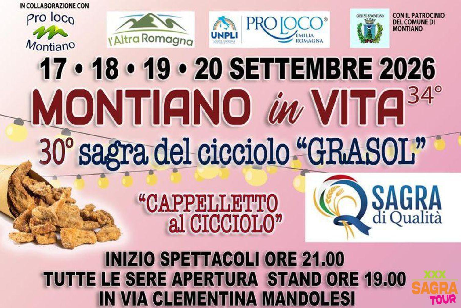 locandina sagra del cicciolo montiano