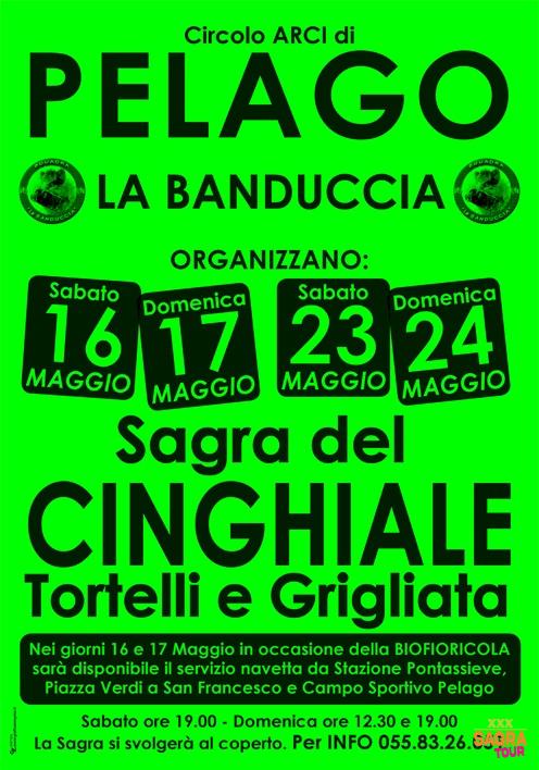 Sagra del cinghiale