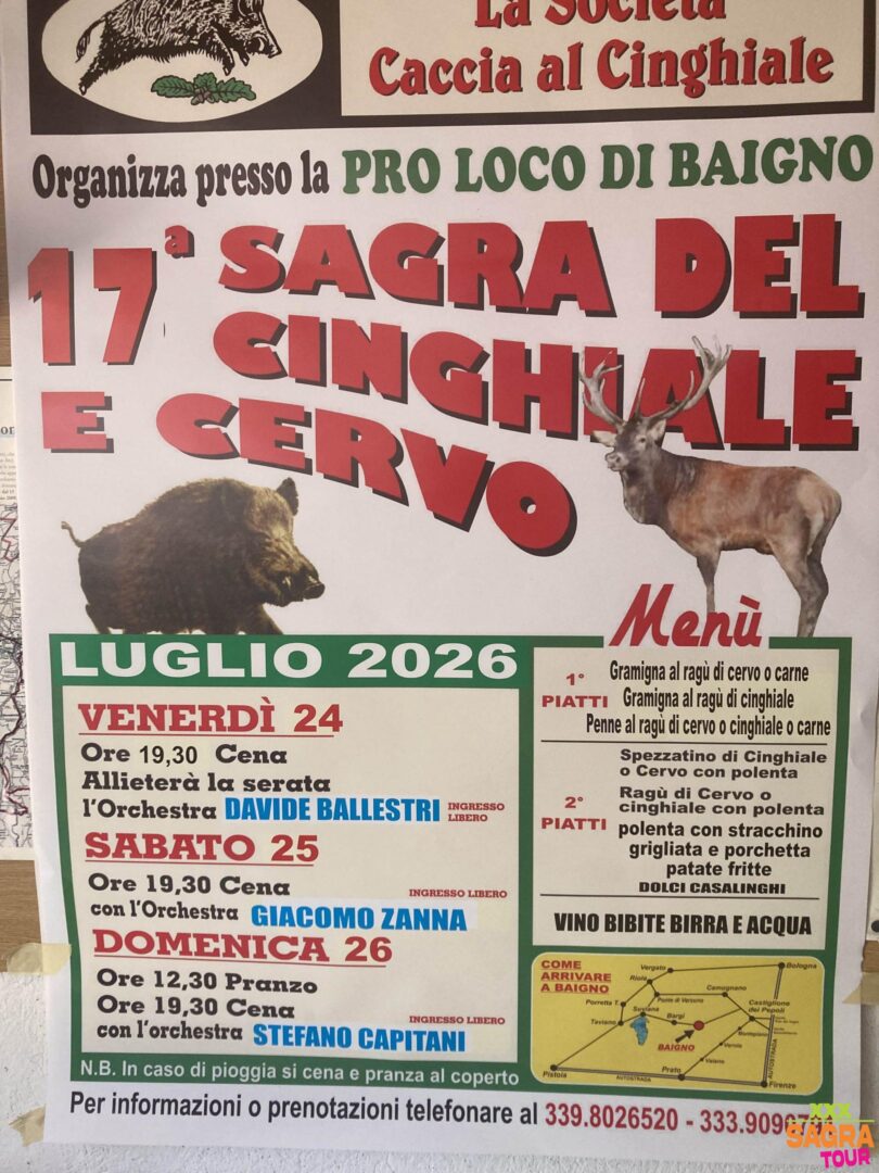 locandina sagra del cinghiale e cervo camugnano