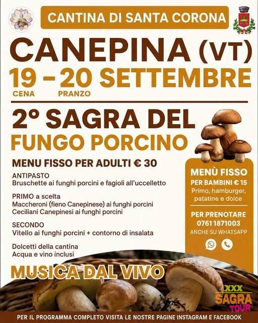 locandina sagra del fungo porcino canepina