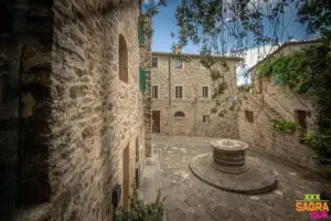 foto sagra della lasagna montenero d'orcia
